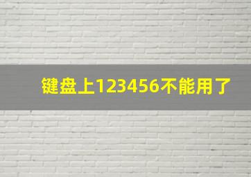 键盘上123456不能用了