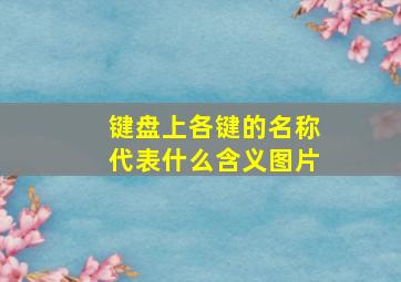 键盘上各键的名称代表什么含义图片