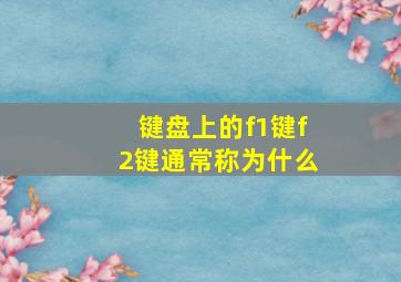 键盘上的f1键f2键通常称为什么