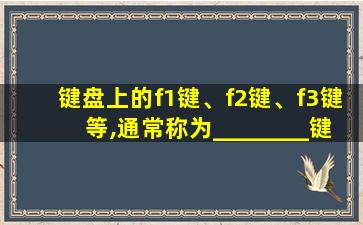 键盘上的f1键、f2键、f3键等,通常称为________键