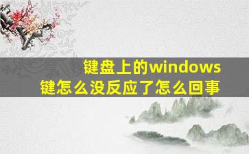 键盘上的windows键怎么没反应了怎么回事