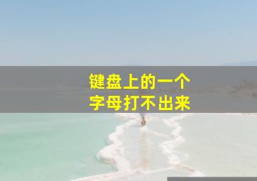 键盘上的一个字母打不出来