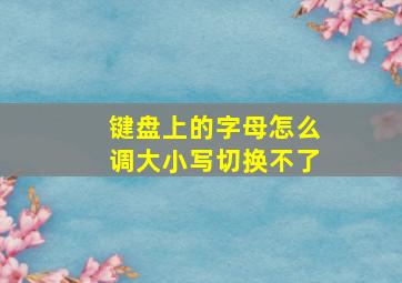 键盘上的字母怎么调大小写切换不了