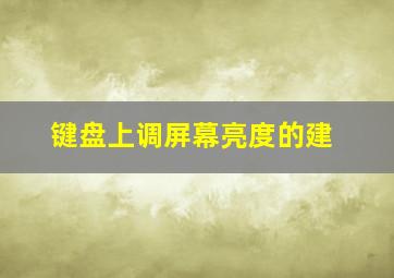 键盘上调屏幕亮度的建