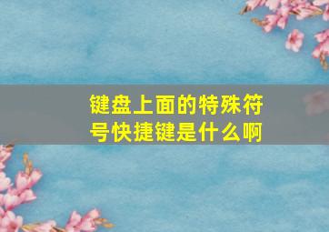 键盘上面的特殊符号快捷键是什么啊