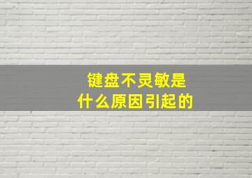 键盘不灵敏是什么原因引起的