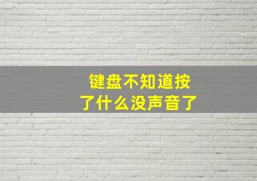 键盘不知道按了什么没声音了