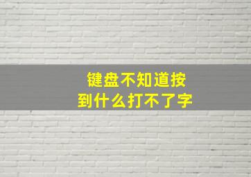 键盘不知道按到什么打不了字