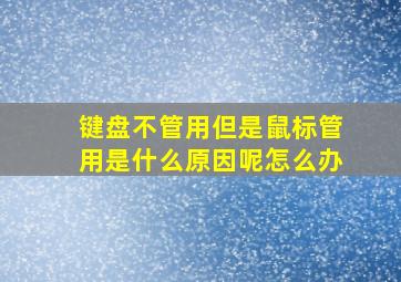 键盘不管用但是鼠标管用是什么原因呢怎么办