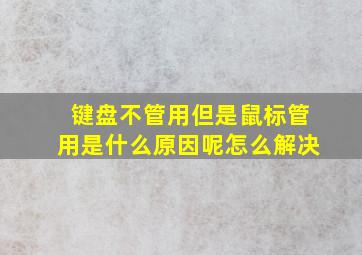 键盘不管用但是鼠标管用是什么原因呢怎么解决