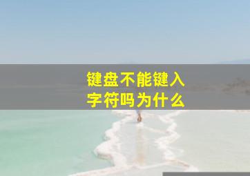 键盘不能键入字符吗为什么