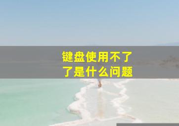 键盘使用不了了是什么问题