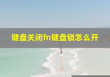 键盘关闭fn键盘锁怎么开