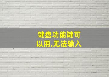 键盘功能键可以用,无法输入