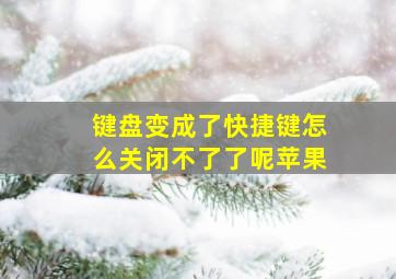 键盘变成了快捷键怎么关闭不了了呢苹果