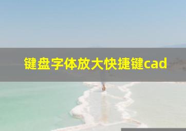 键盘字体放大快捷键cad