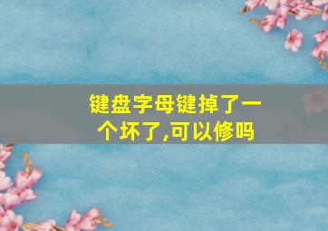 键盘字母键掉了一个坏了,可以修吗