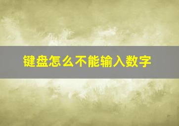 键盘怎么不能输入数字