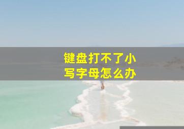 键盘打不了小写字母怎么办