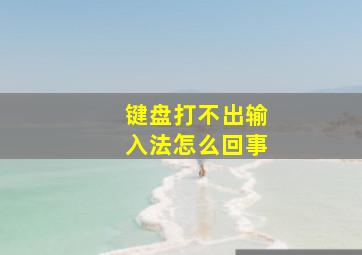 键盘打不出输入法怎么回事