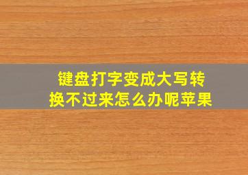键盘打字变成大写转换不过来怎么办呢苹果