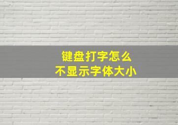 键盘打字怎么不显示字体大小