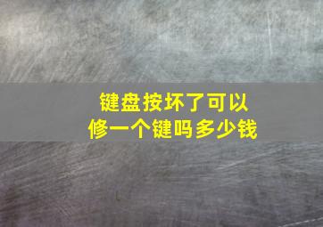 键盘按坏了可以修一个键吗多少钱