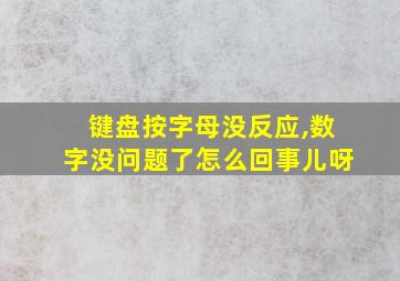 键盘按字母没反应,数字没问题了怎么回事儿呀