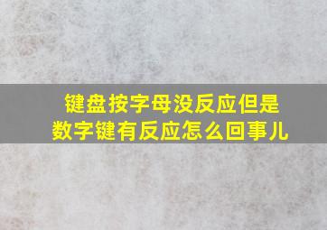 键盘按字母没反应但是数字键有反应怎么回事儿