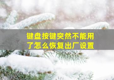 键盘按键突然不能用了怎么恢复出厂设置