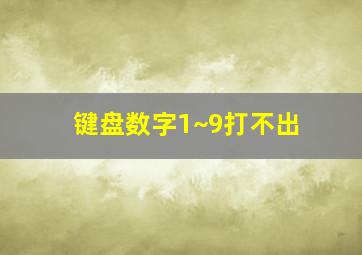 键盘数字1~9打不出