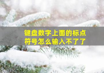 键盘数字上面的标点符号怎么输入不了了