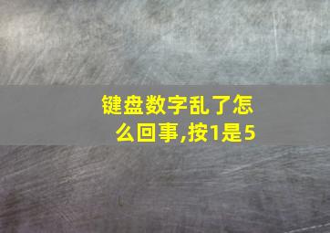 键盘数字乱了怎么回事,按1是5