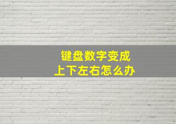 键盘数字变成上下左右怎么办