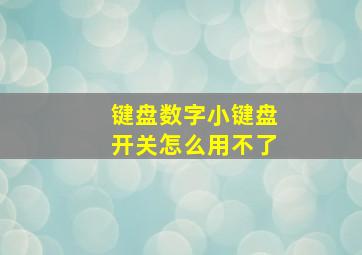 键盘数字小键盘开关怎么用不了