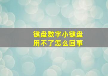 键盘数字小键盘用不了怎么回事