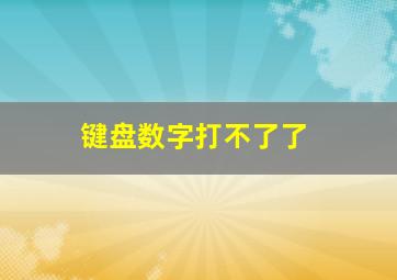 键盘数字打不了了