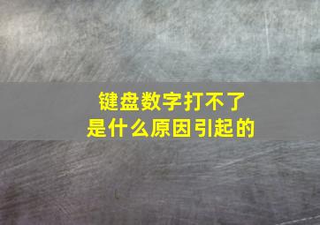 键盘数字打不了是什么原因引起的