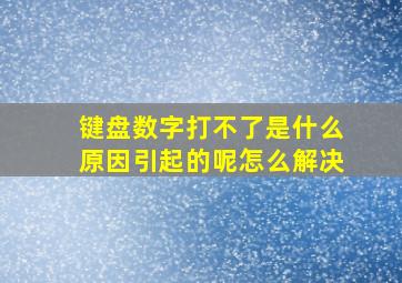 键盘数字打不了是什么原因引起的呢怎么解决