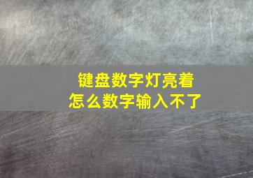 键盘数字灯亮着怎么数字输入不了