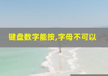 键盘数字能按,字母不可以