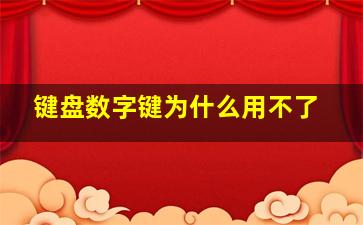 键盘数字键为什么用不了