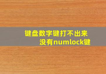 键盘数字键打不出来没有numlock键