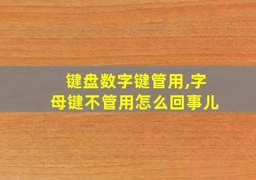 键盘数字键管用,字母键不管用怎么回事儿