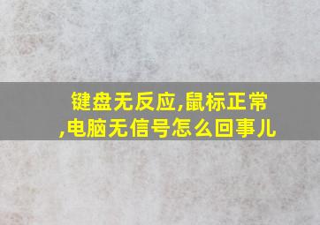 键盘无反应,鼠标正常,电脑无信号怎么回事儿