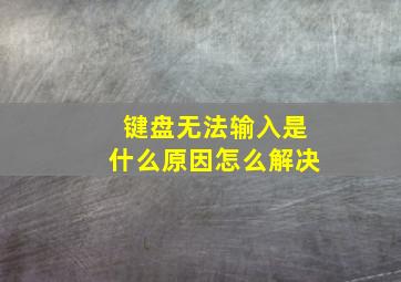 键盘无法输入是什么原因怎么解决