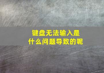 键盘无法输入是什么问题导致的呢