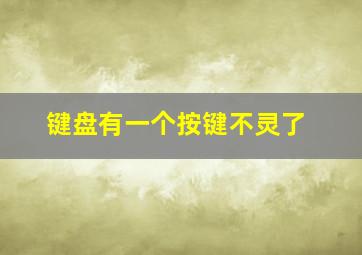 键盘有一个按键不灵了