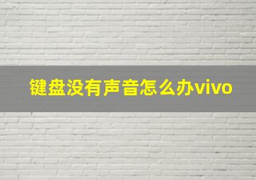 键盘没有声音怎么办vivo