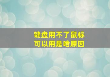 键盘用不了鼠标可以用是啥原因